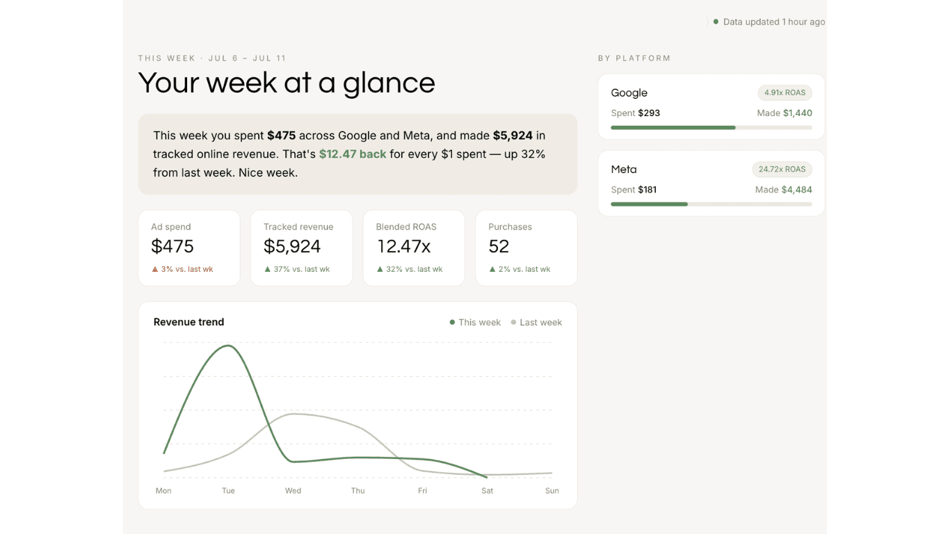 The Fiddle Stats weekly overview: a plain-English summary of the week's spend, revenue, and ROAS, four key metric tiles, a revenue trend chart, and per-platform results for Google and Meta